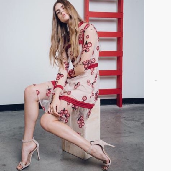 COPY - Endless Rose Embroidered dress large - Picture 2 of 8